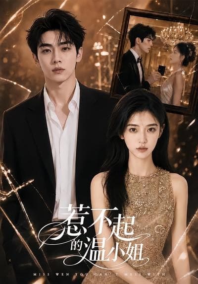 惹不起的温小姐海报