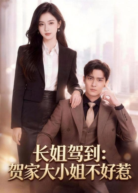 长姐驾到：贺家大小姐不好惹海报