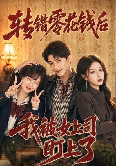 转错零花钱后我被女上司盯上了海报