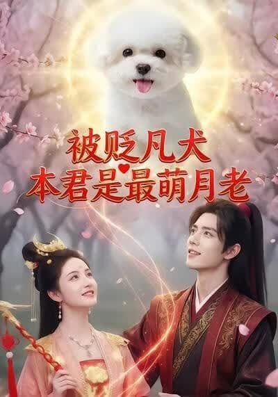 被贬凡犬，本君是最萌月老海报