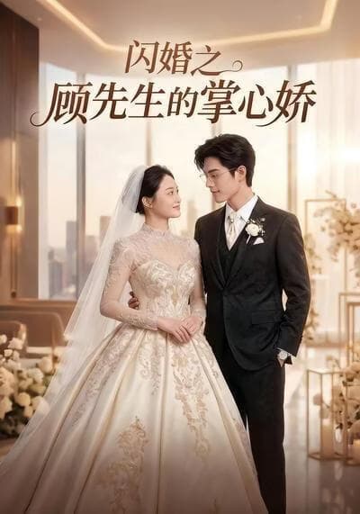 闪婚之顾先生的掌心娇海报