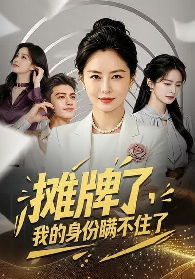 摊牌了，我的身份瞒不住了海报