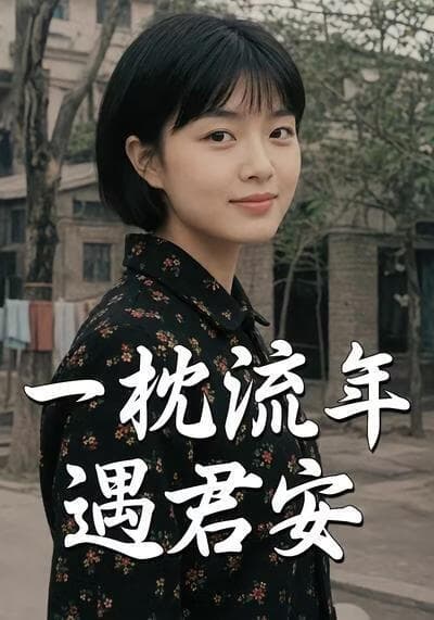一枕流年遇君安海报