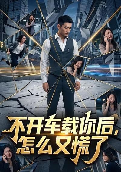不开车载你后，怎么又慌了海报