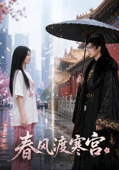 春风渡寒宫海报