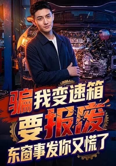 骗我变速箱要报废，东窗事发你又慌了海报