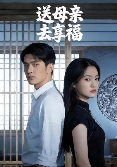 送母亲去享福海报