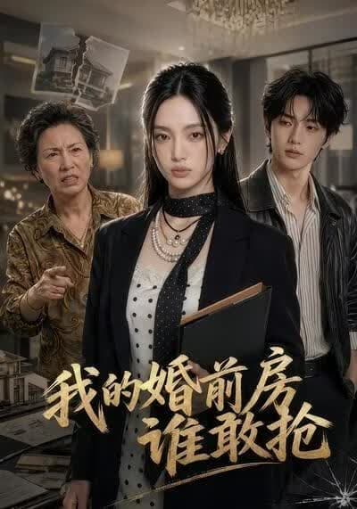 我的婚前房谁敢抢海报