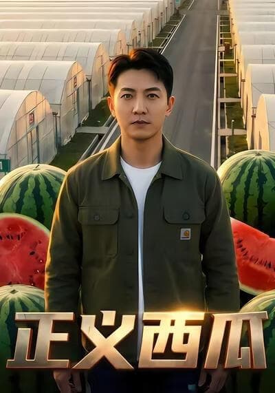 正义西瓜海报