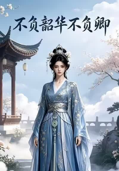 不负韶华不负卿第一部海报