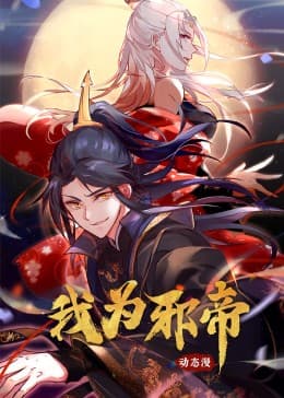 我为邪帝海报