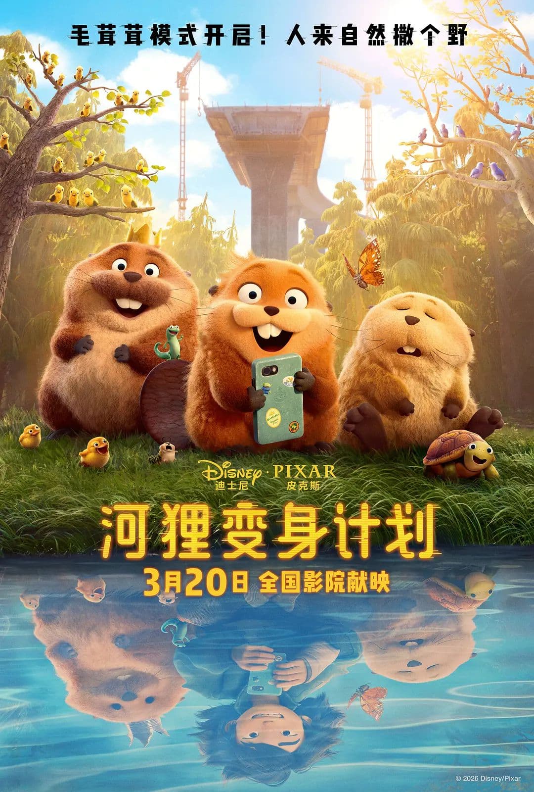 河狸变身计划(普通话版)海报