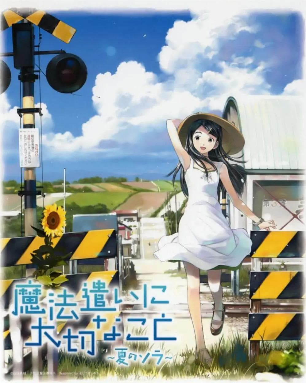 魔法使的注意事项:夏之空海报
